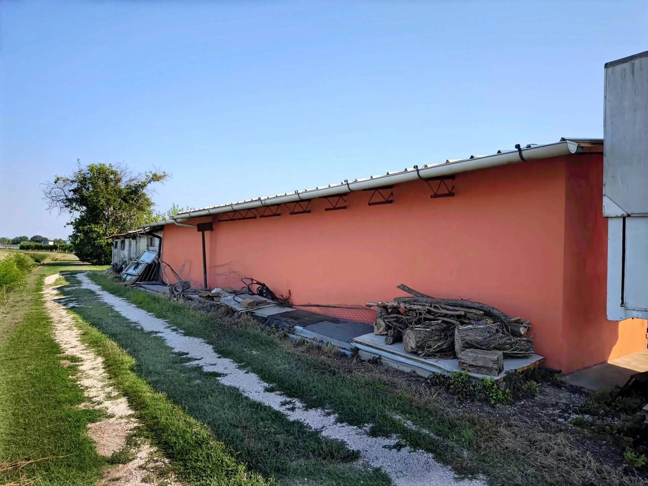 immagine annuncio 7 di 10
