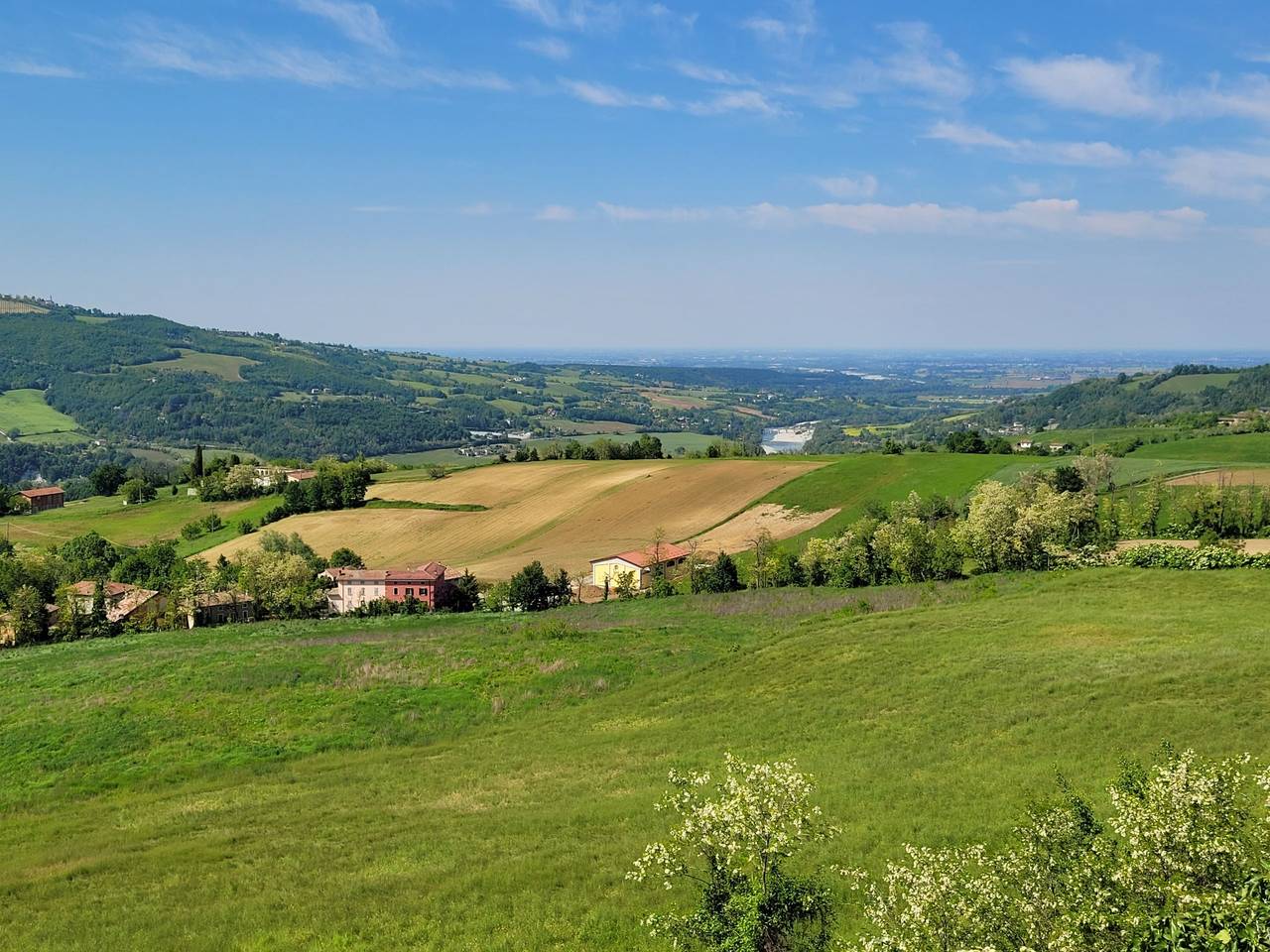 immagine annuncio 3 di 12