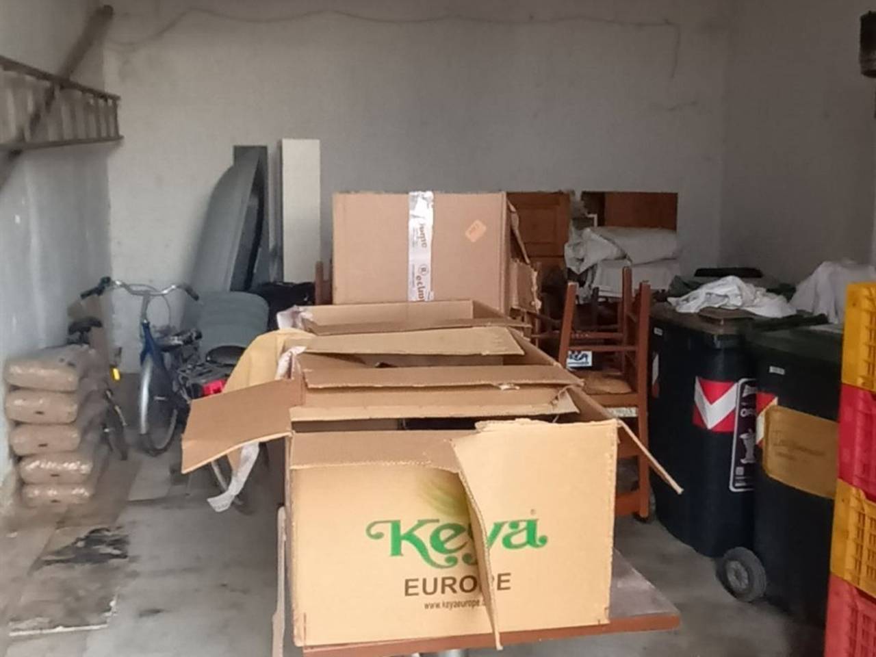 immagine annuncio 1 di 6