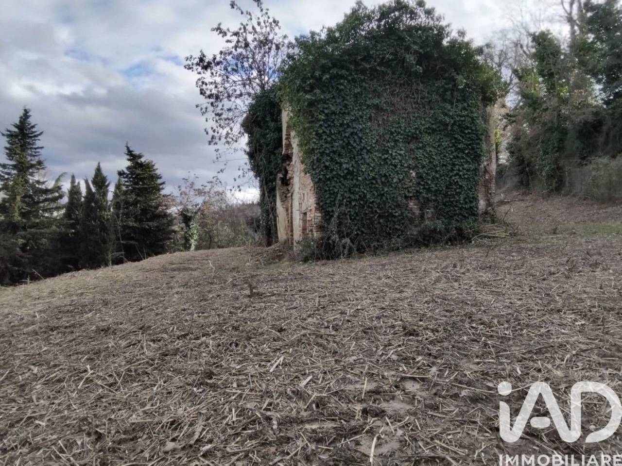 immagine annuncio 10 di 13