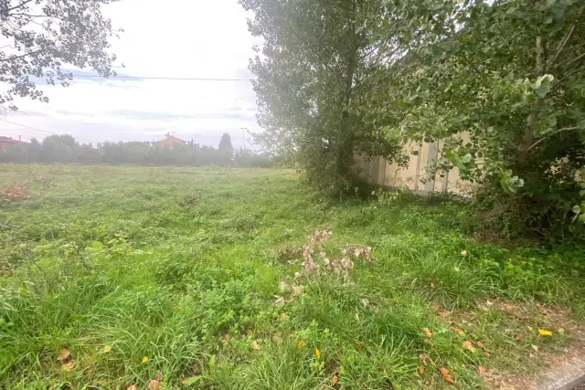 Agricultural land in Via di Mezzo Sud 86, Cascina - Photo 1