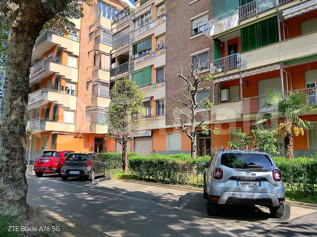 immagine annuncio 1 di 10