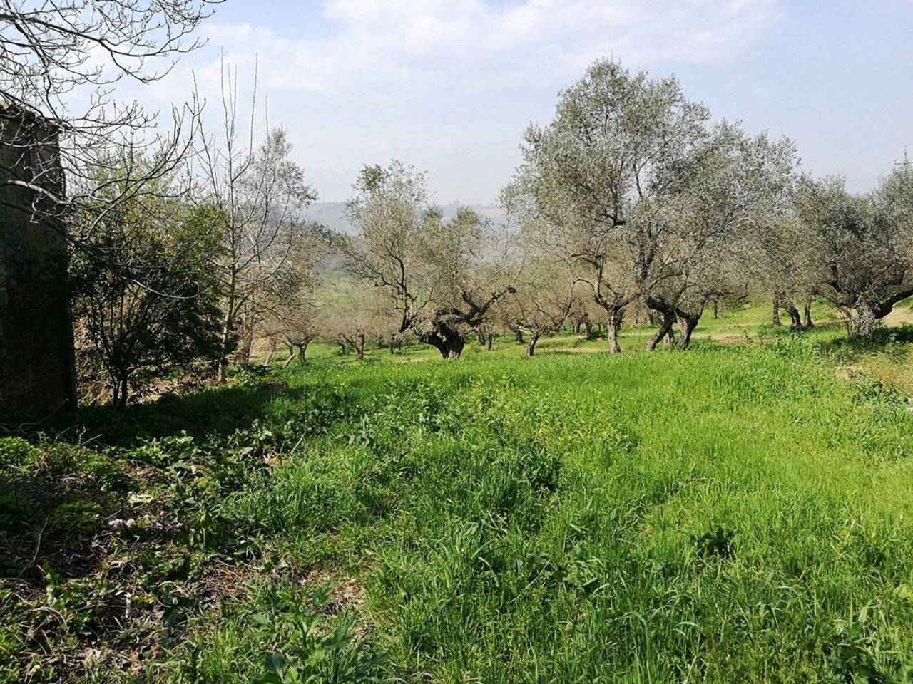 immagine annuncio 5 di 14