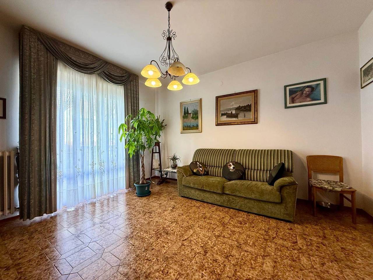 immagine annuncio 3 di 15