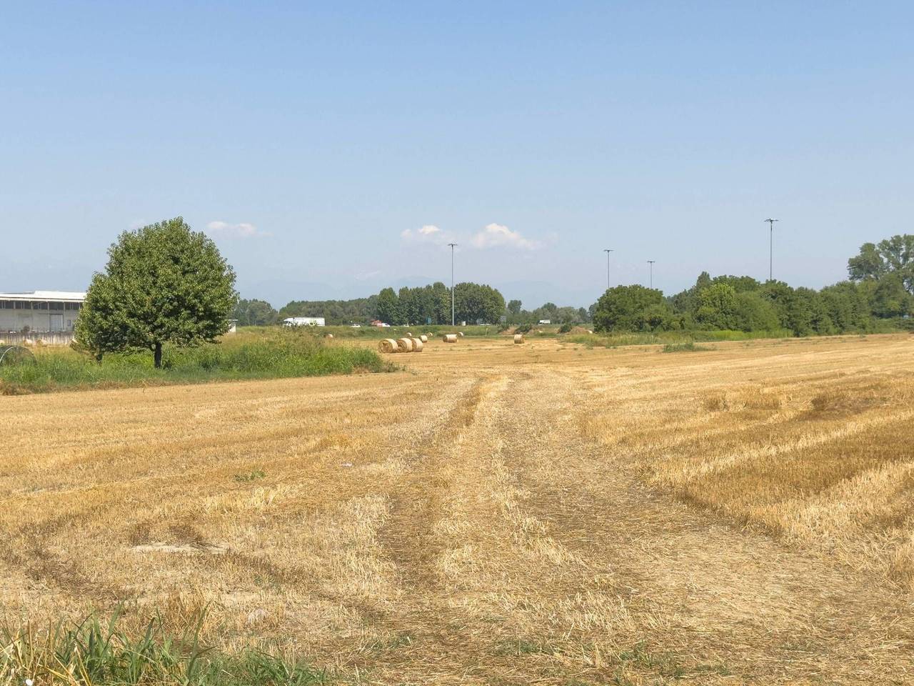 immagine annuncio 10 di 15
