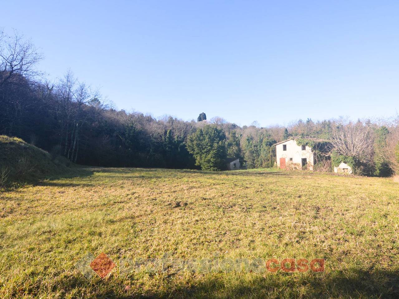 immagine annuncio 7 di 11