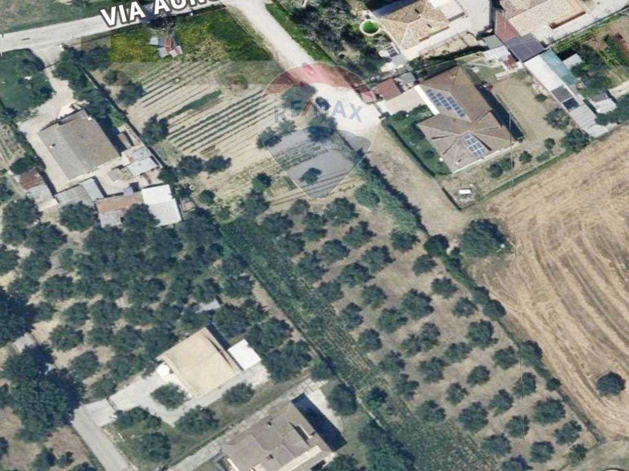 immagine annuncio 3 di 6