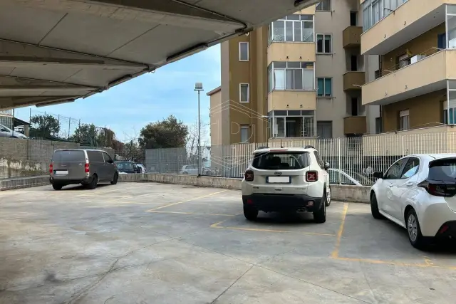 insertion image