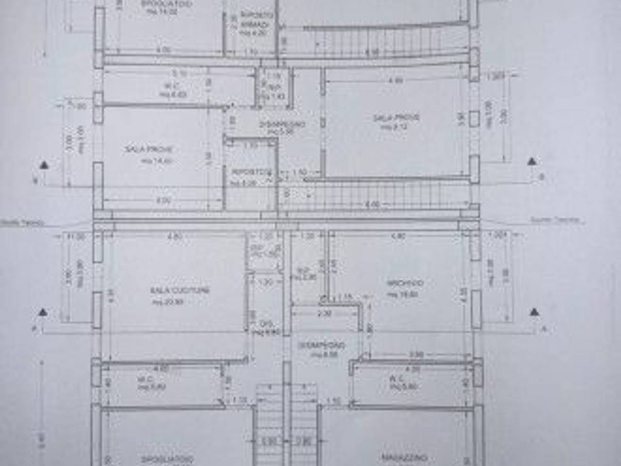 immagine annuncio 12 di 14