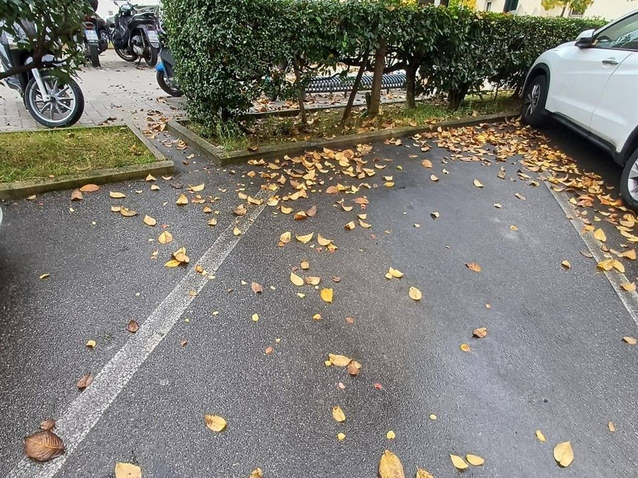 immagine annuncio 11 di 14