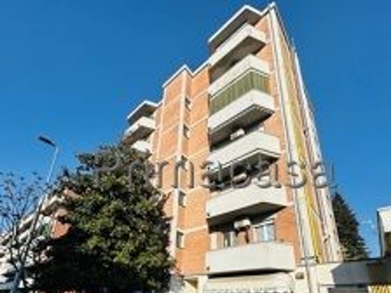 immagine annuncio 7 di 8