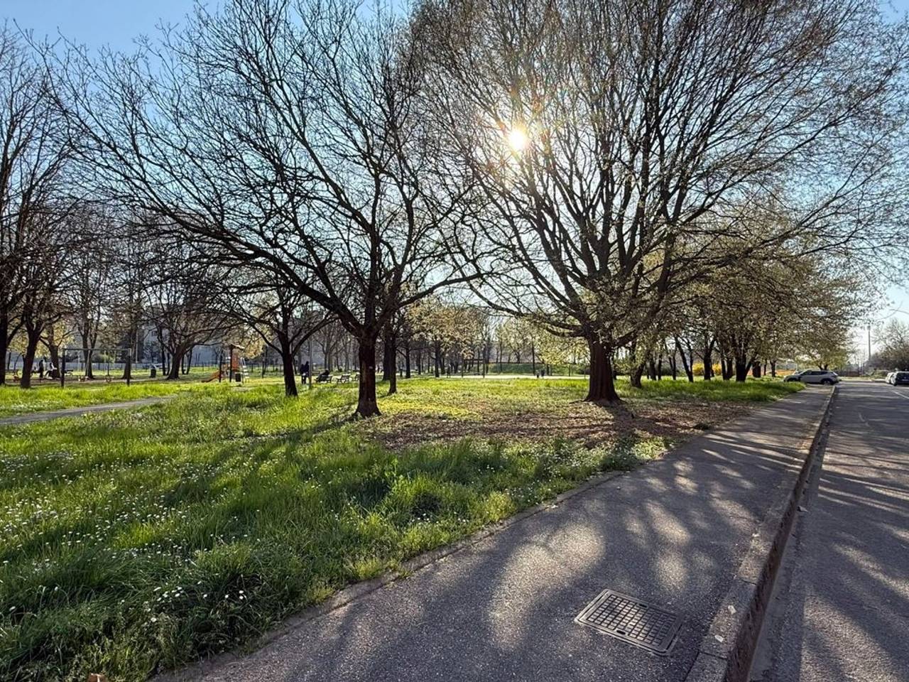 immagine annuncio 1 di 12