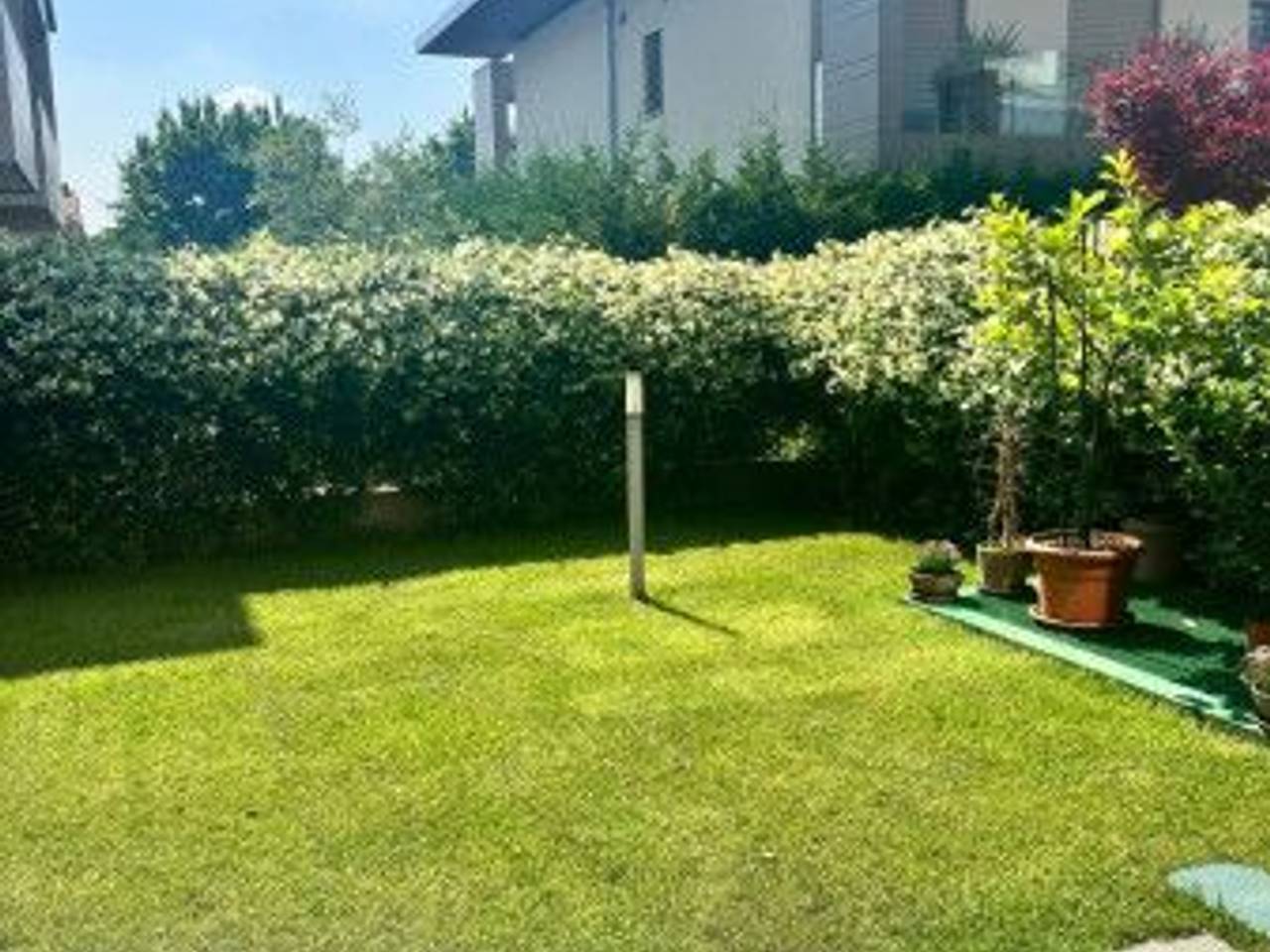 immagine annuncio 1 di 14