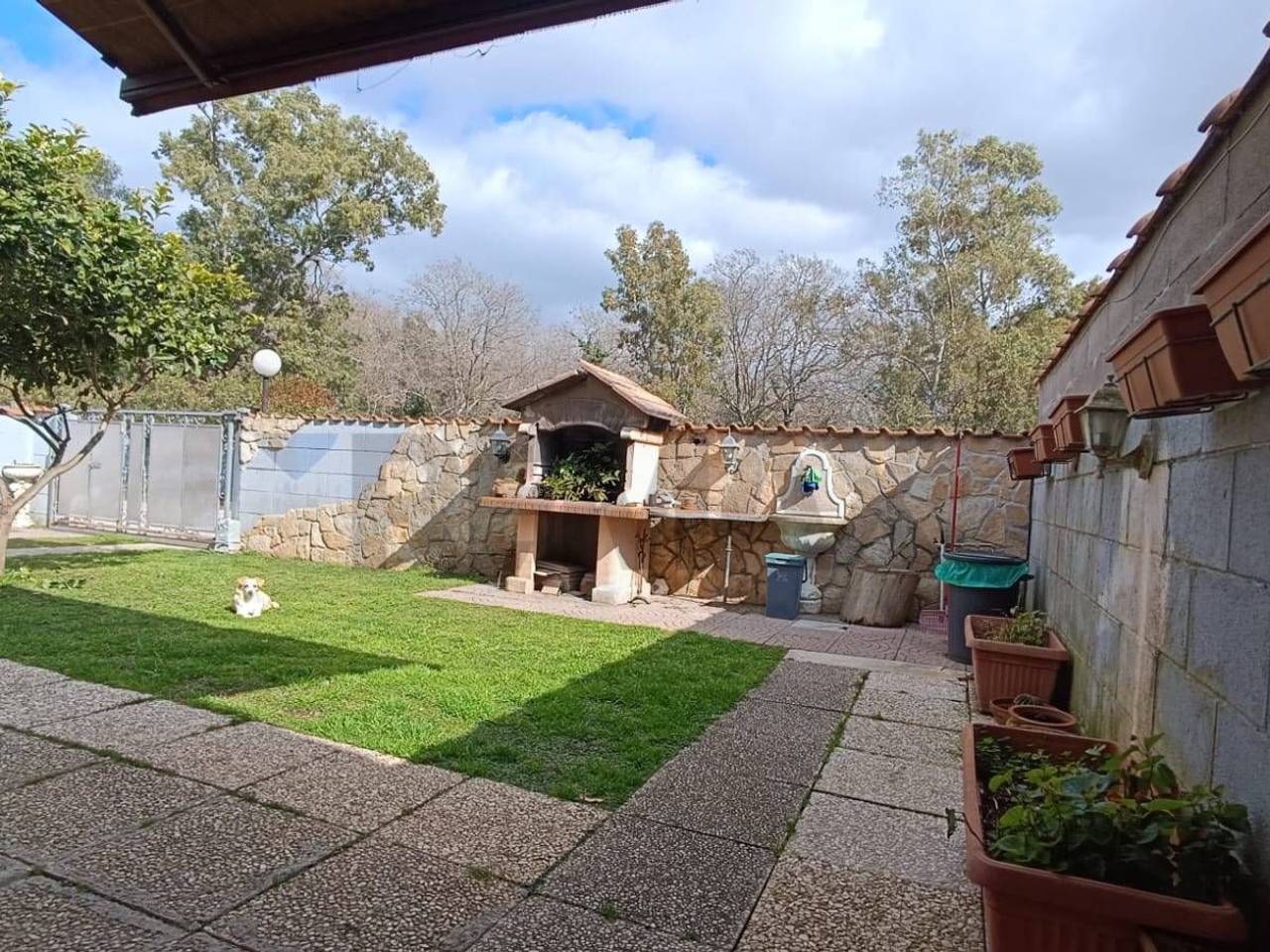 immagine annuncio 5 di 15