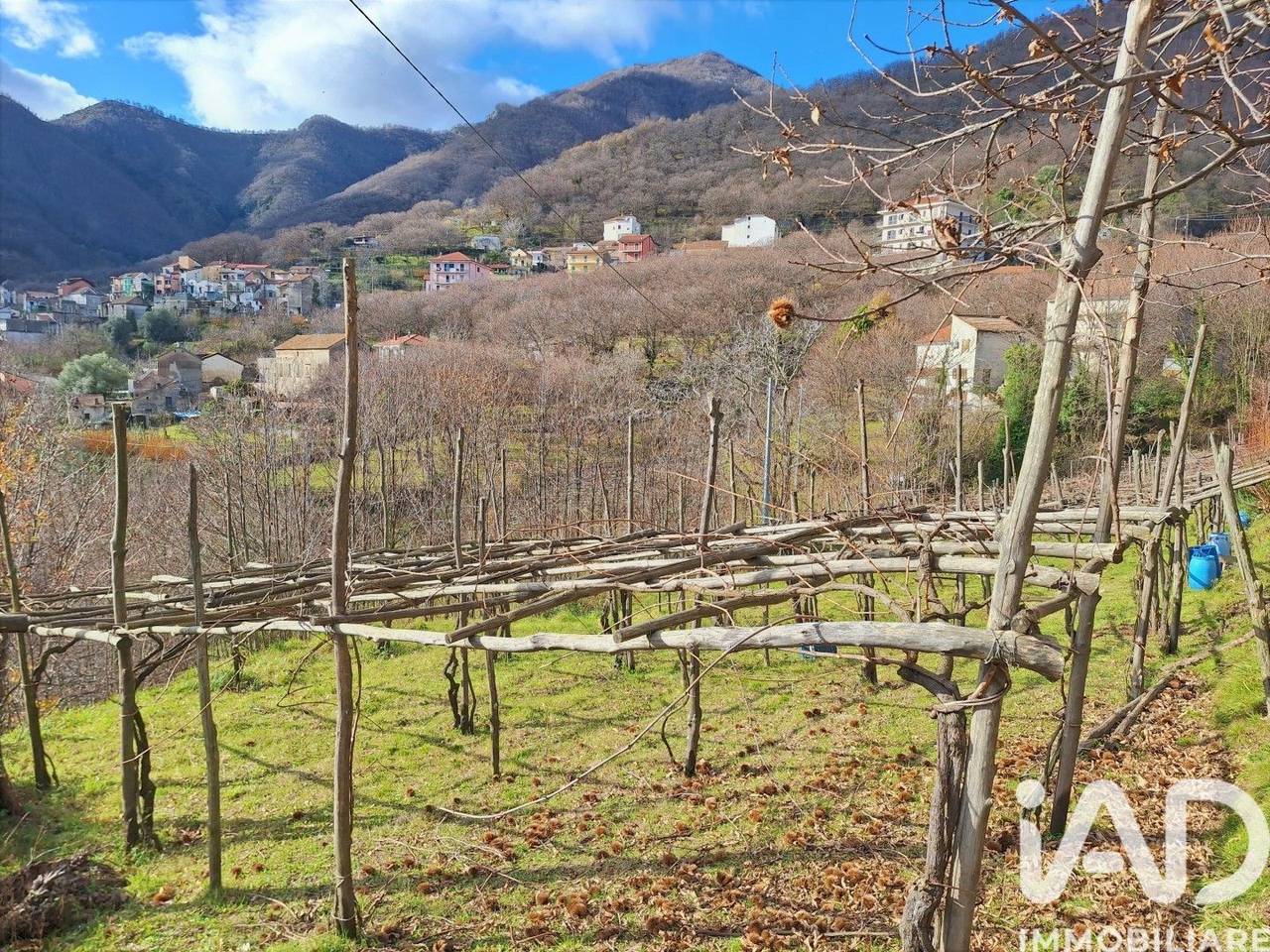 immagine annuncio 11 di 15