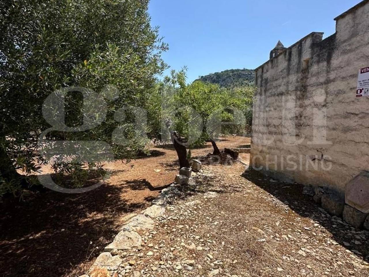 immagine annuncio 1 di 12