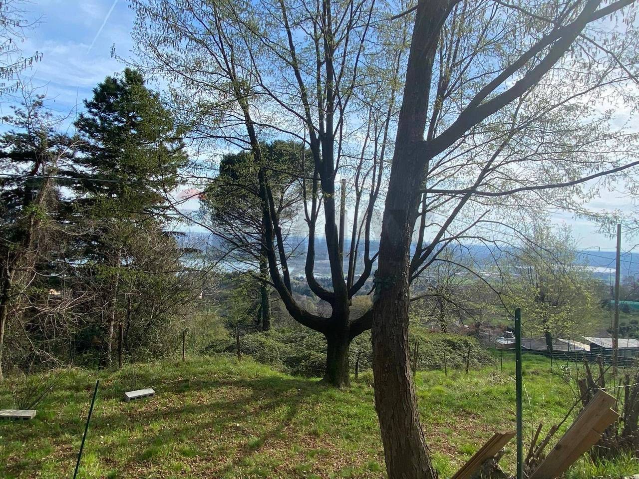 immagine annuncio 2 di 11