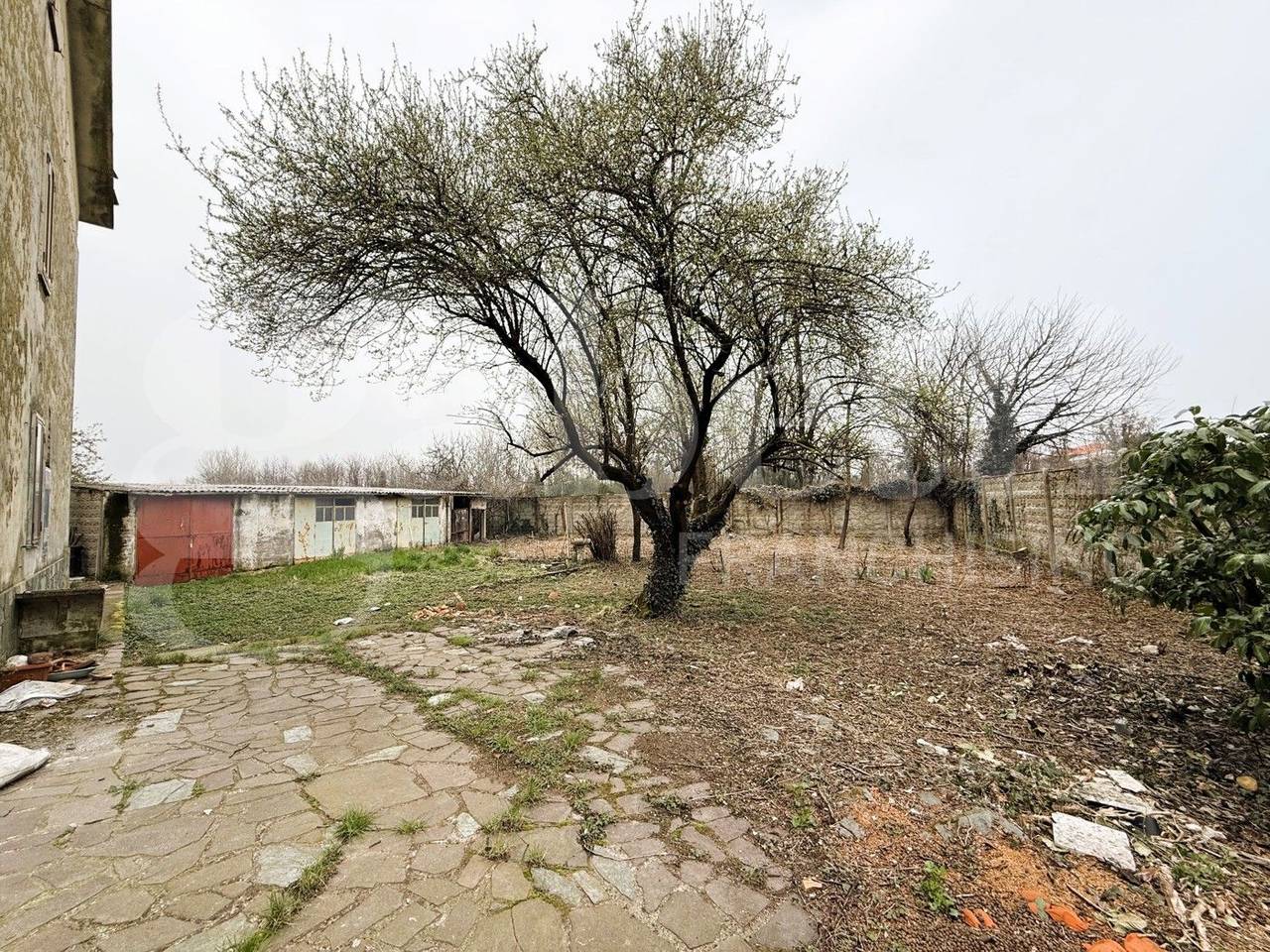 immagine annuncio 5 di 13