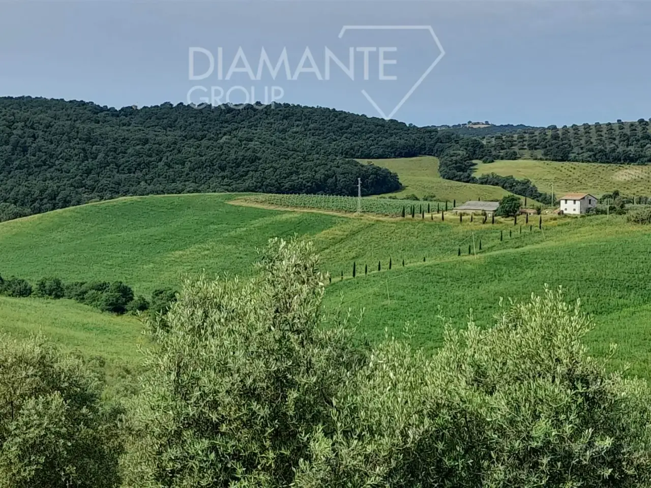 Azienda agricola in , Scansano, {3} - Foto 2