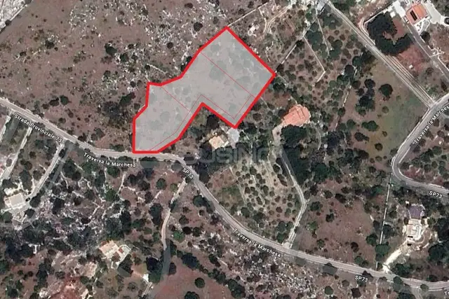 insertion image