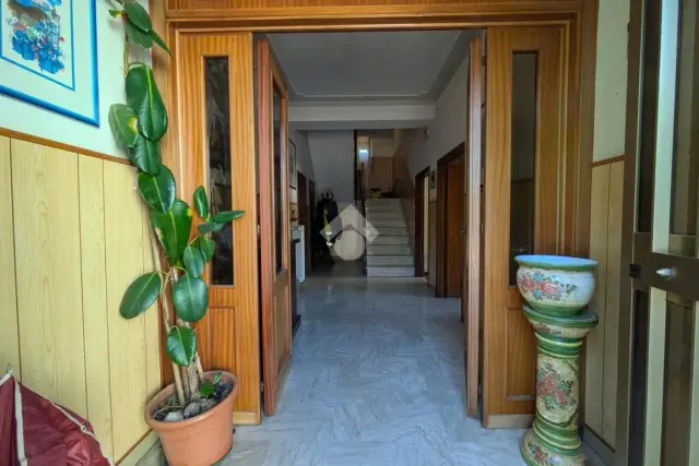 insertion image