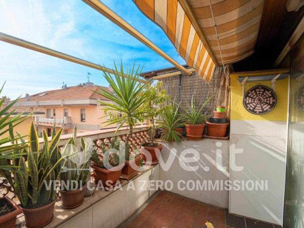 immagine annuncio 11 di 14