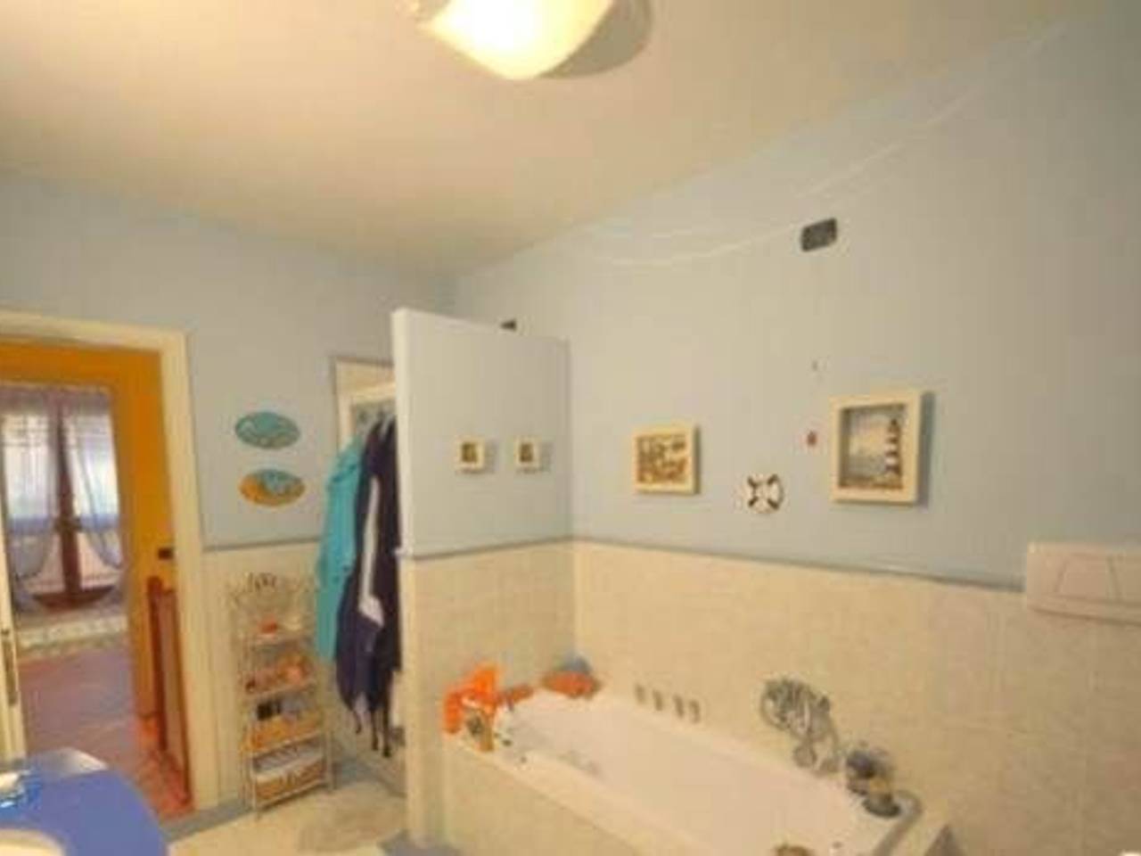 immagine annuncio 7 di 12