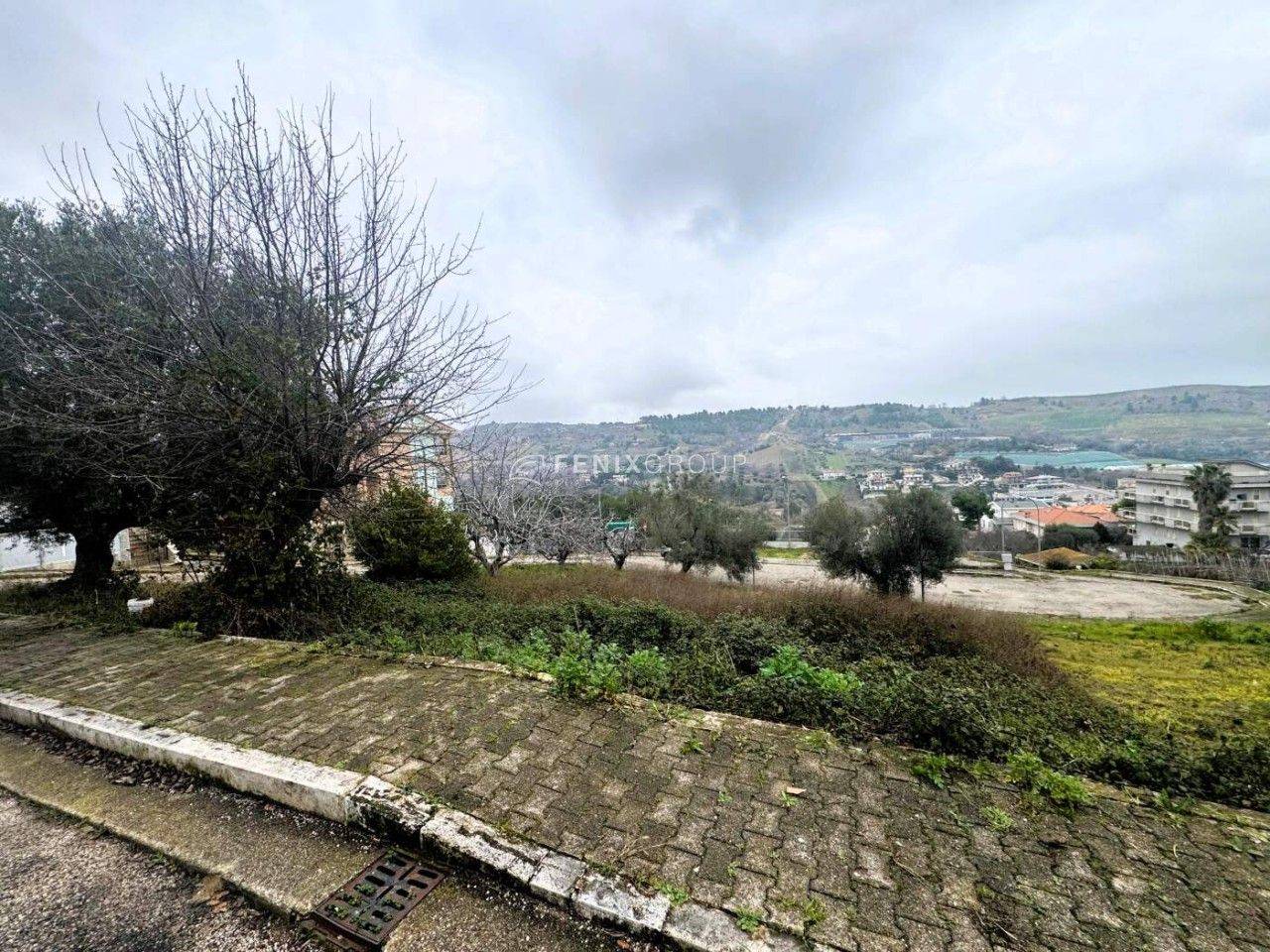 immagine annuncio 2 di 6