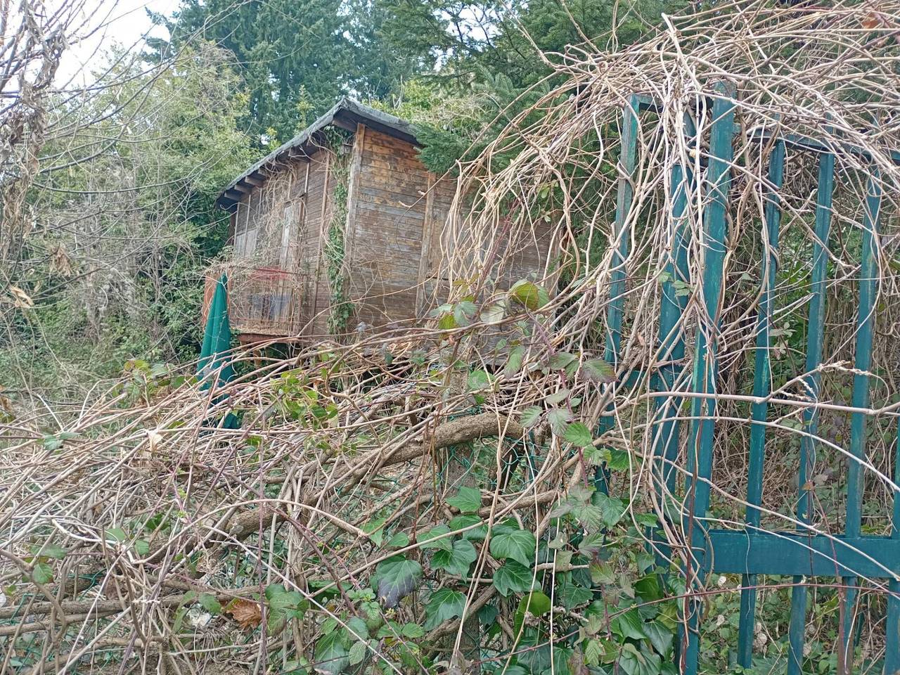 immagine annuncio 3 di 11