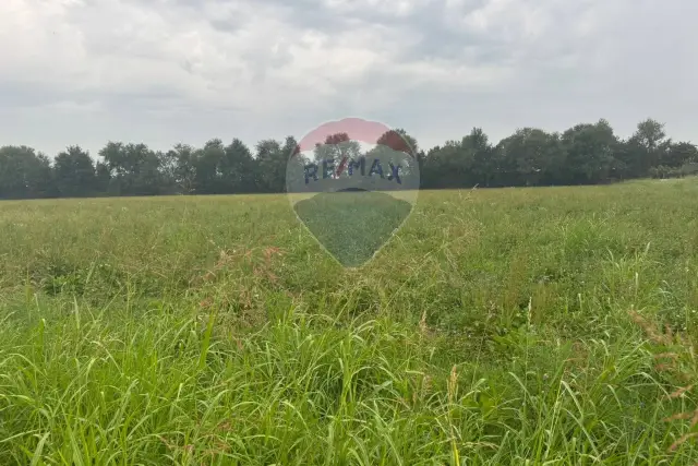 insertion image