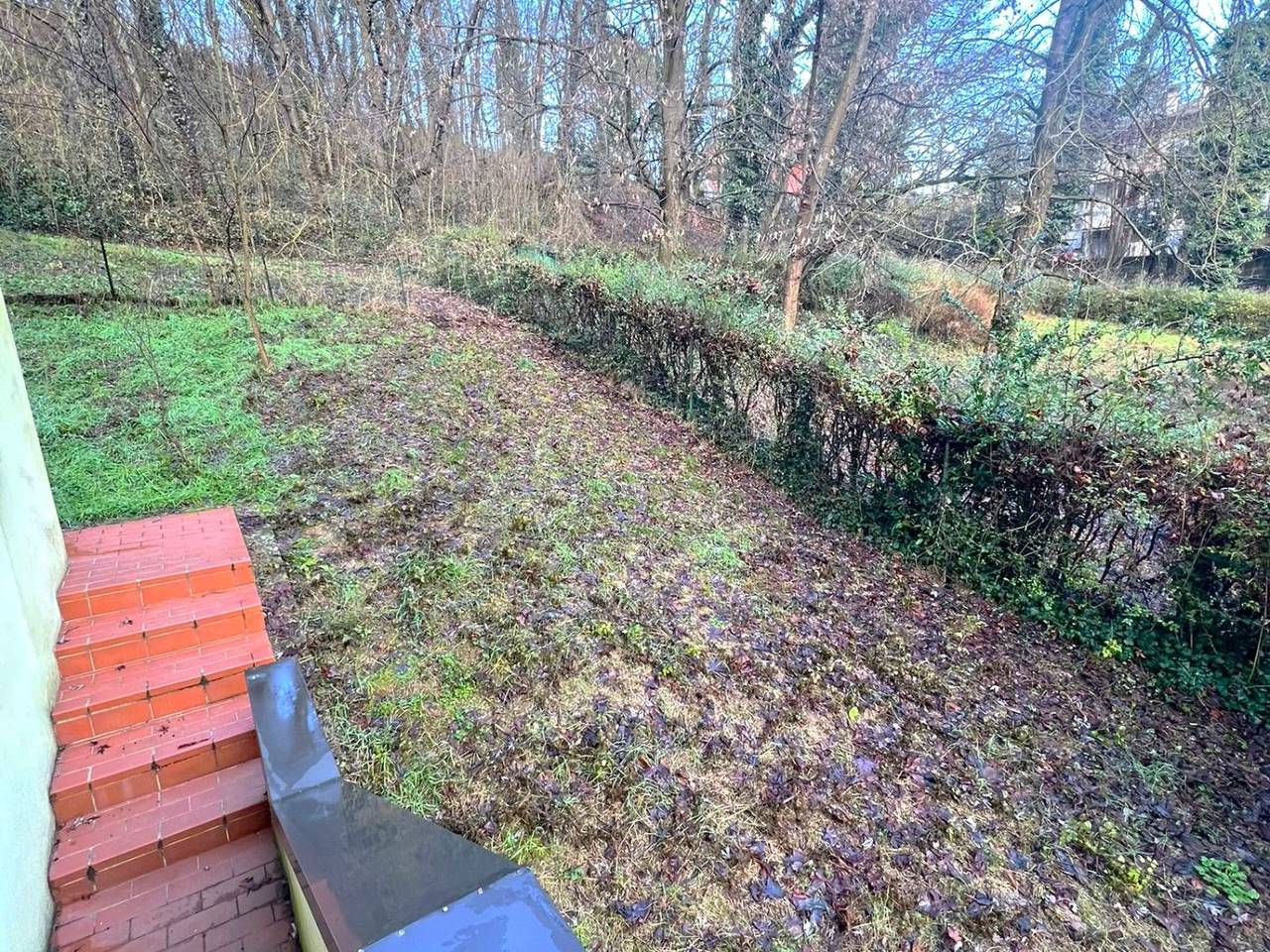 immagine annuncio 5 di 14