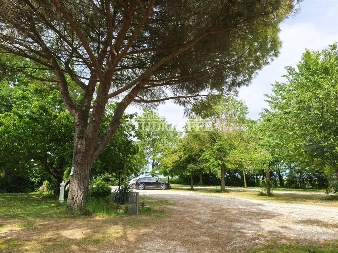 Esercizio commerciale in , Ravenna, {3} - Foto 2