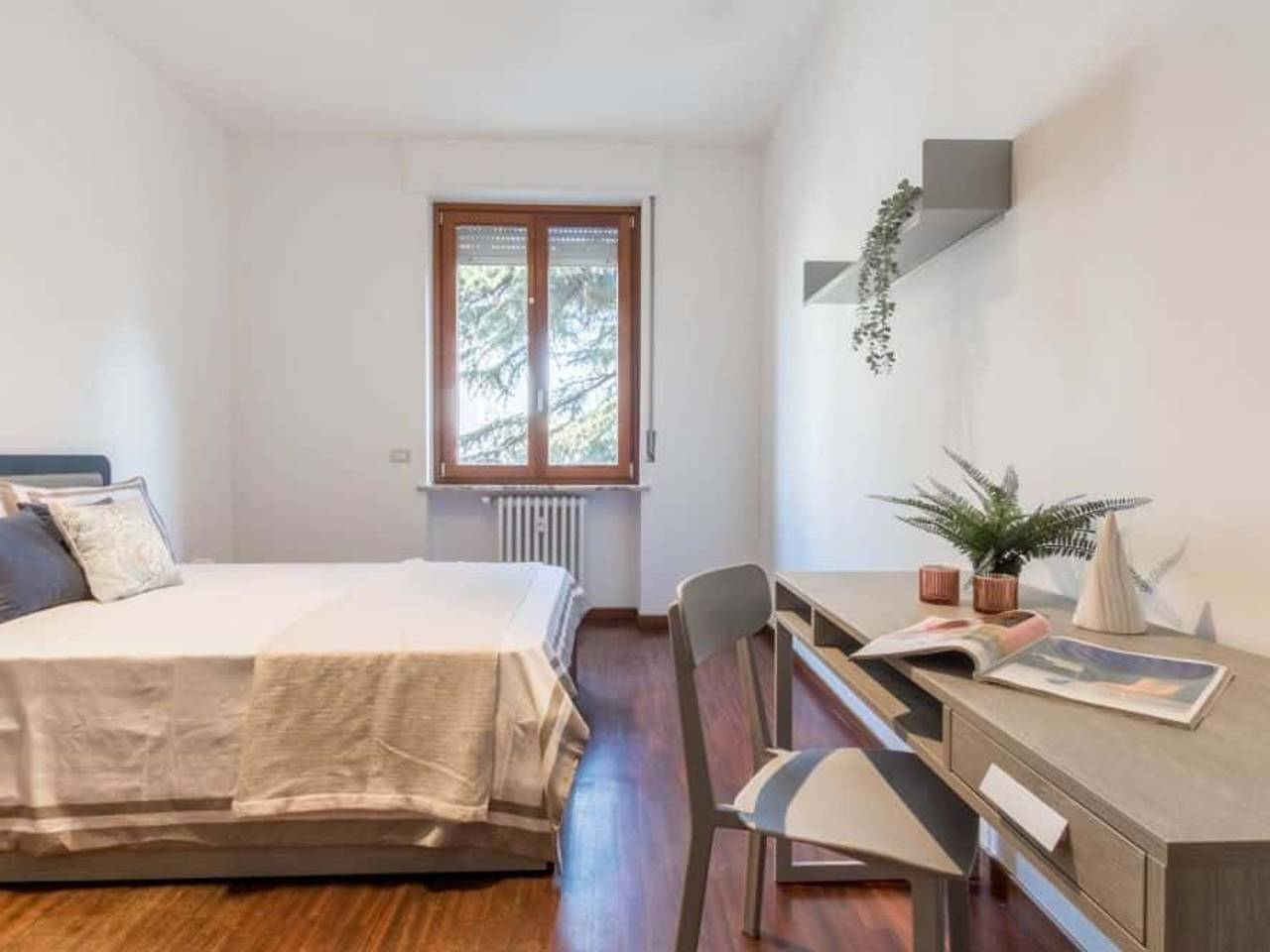 immagine annuncio 2 di 4