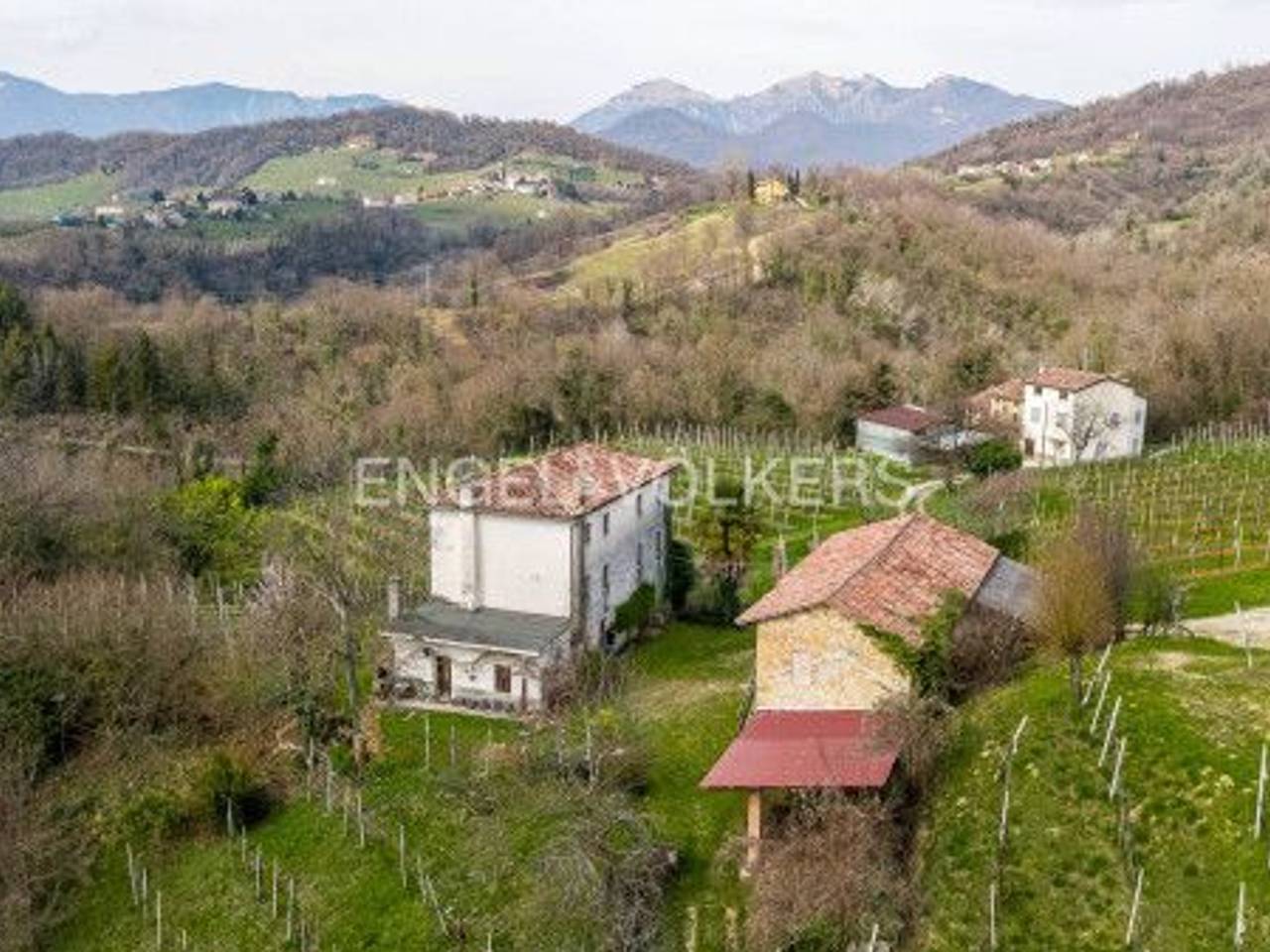 immagine annuncio 3 di 8