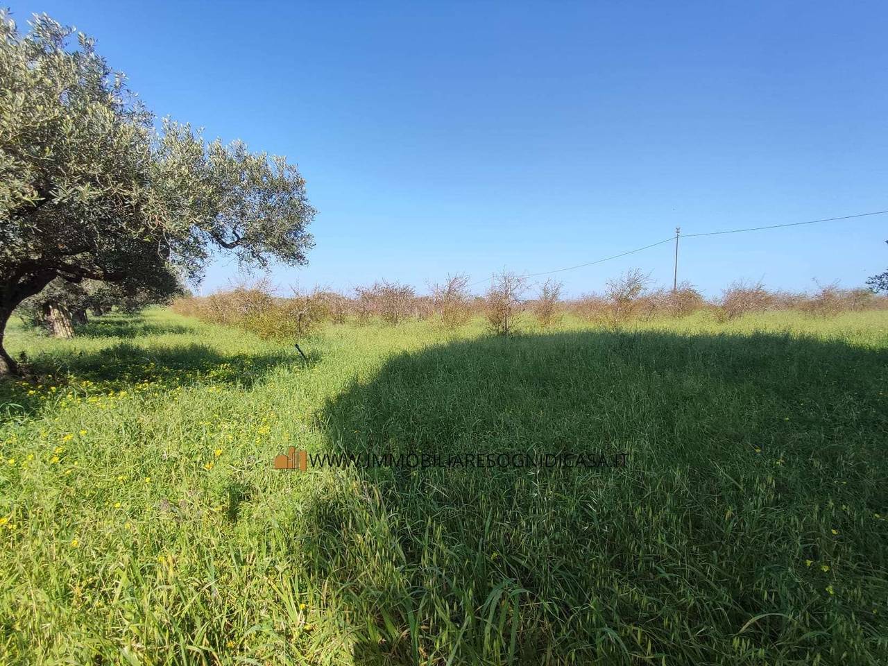 immagine annuncio 5 di 11