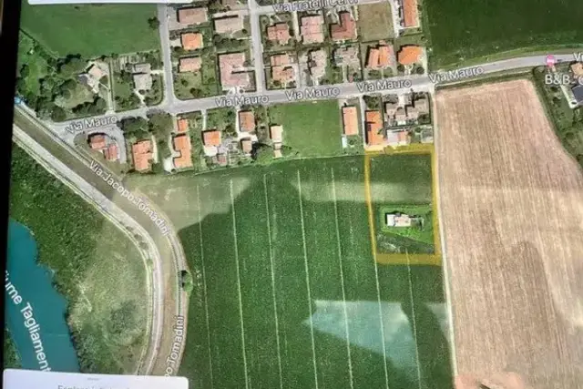 insertion image