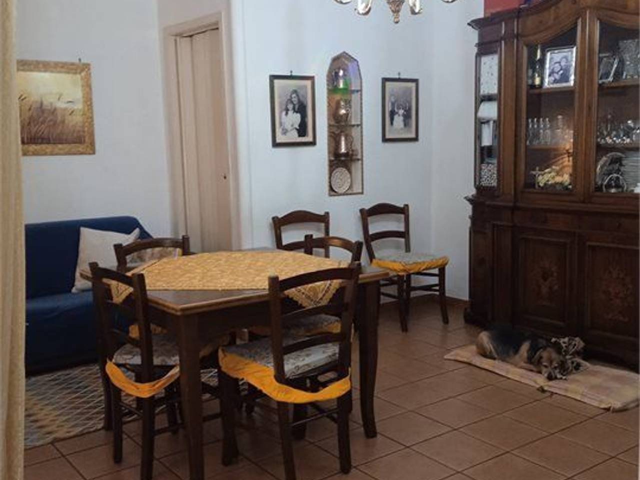 immagine annuncio 1 di 8