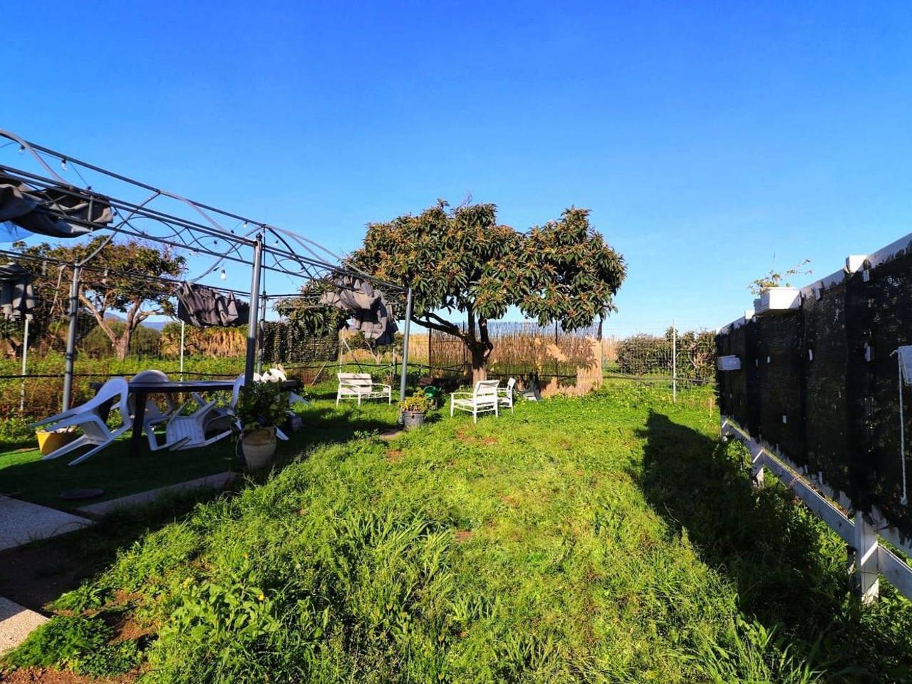 immagine annuncio 10 di 13