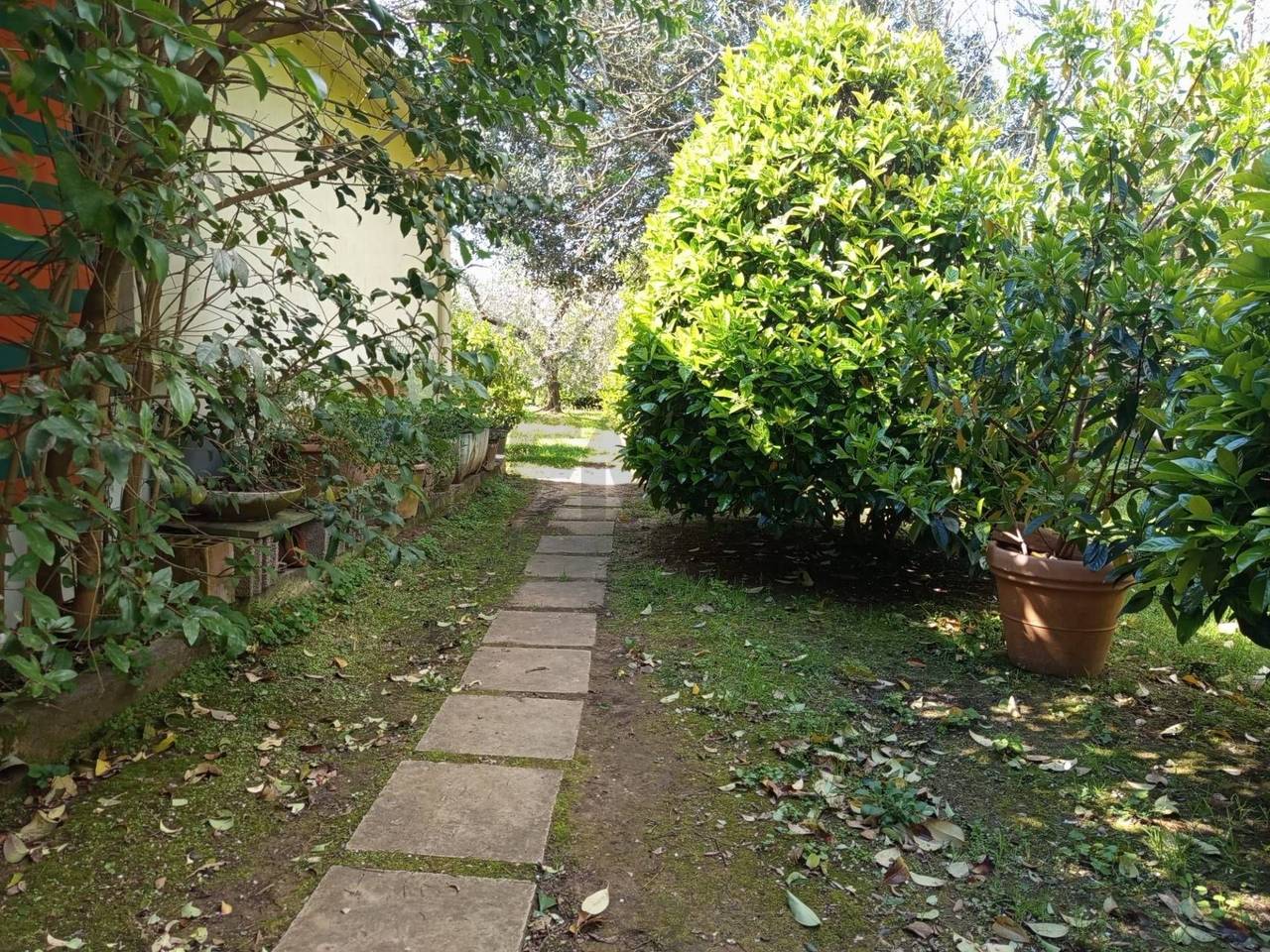 immagine annuncio 7 di 15