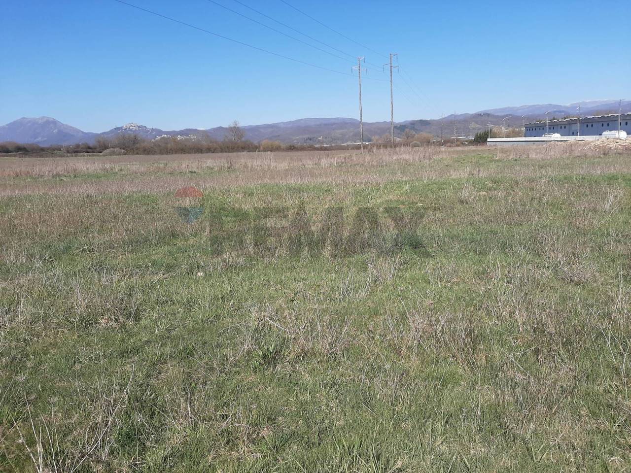 immagine annuncio 5 di 6