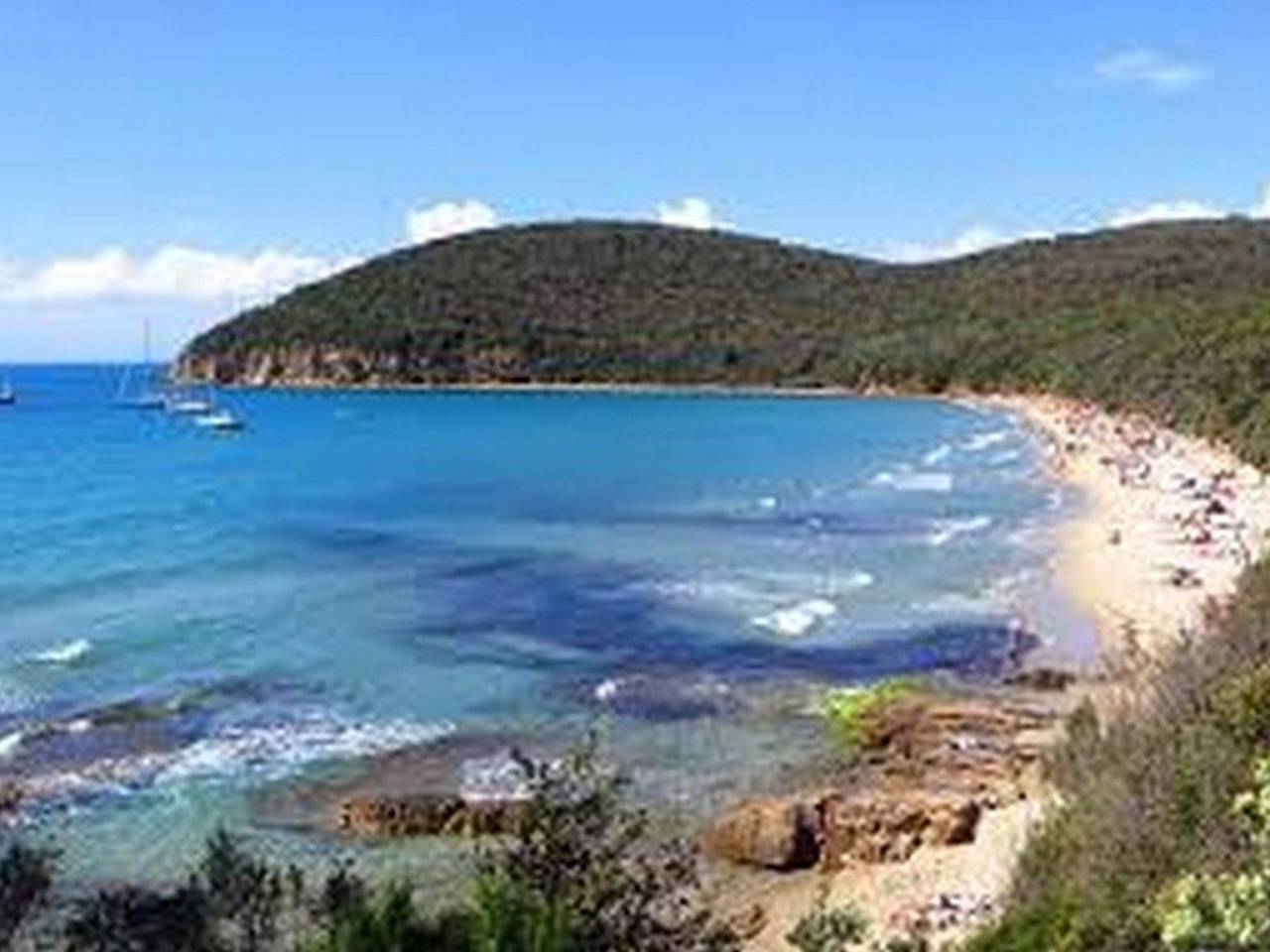 immagine annuncio 2 di 8