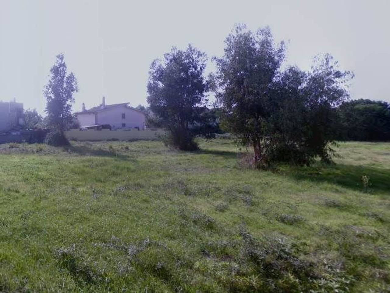 immagine annuncio 1 di 7