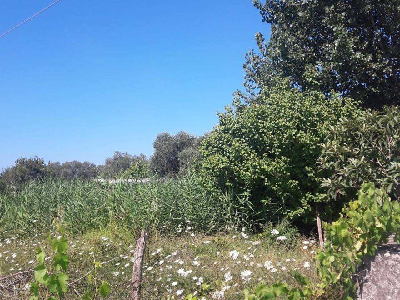 immagine annuncio 6 di 7