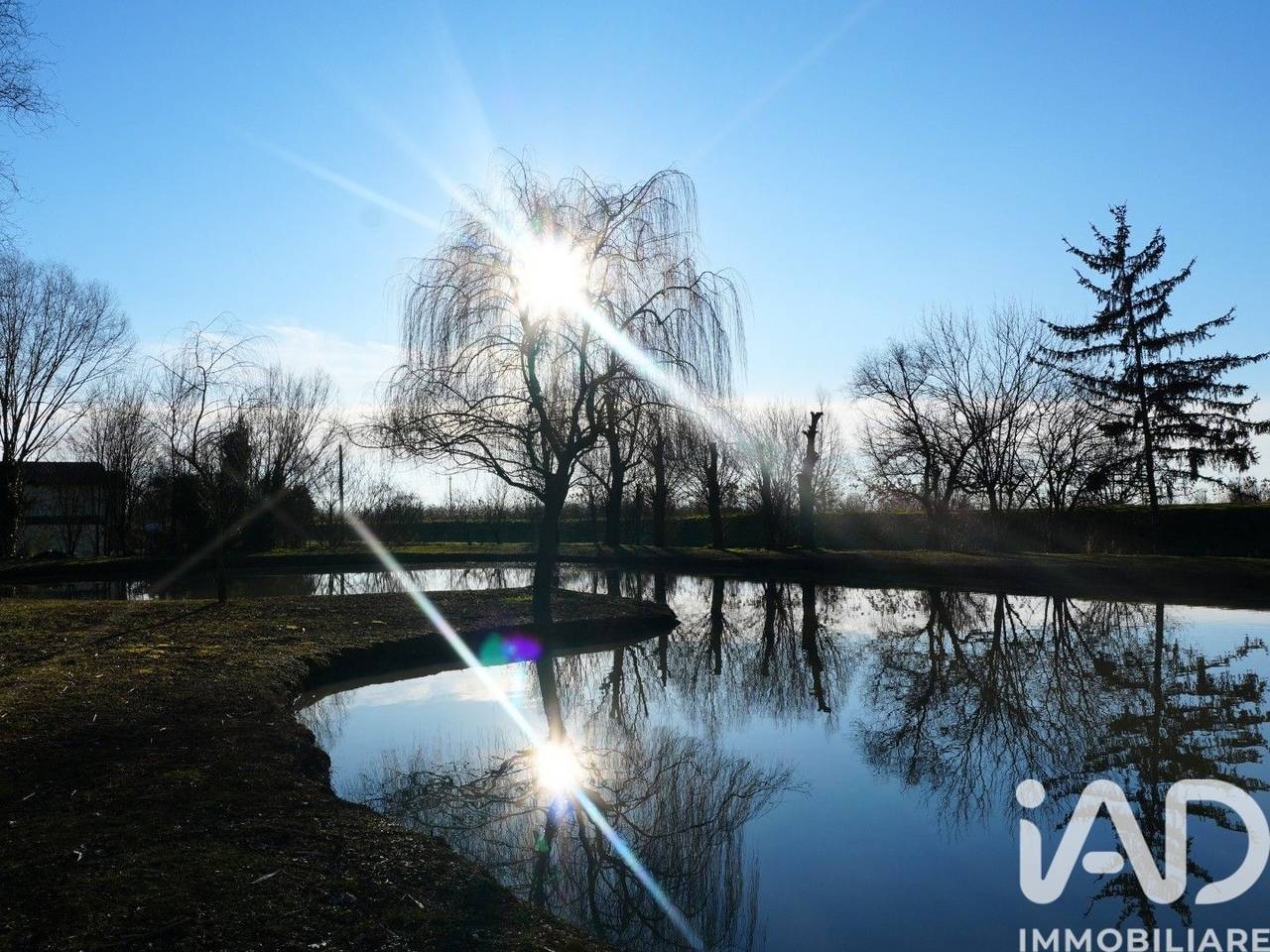 immagine annuncio 5 di 9