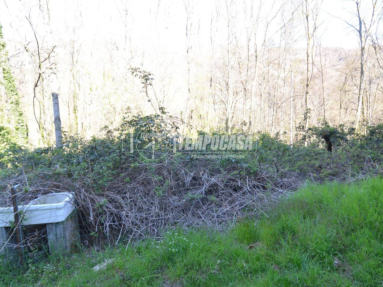 immagine annuncio 4 di 11