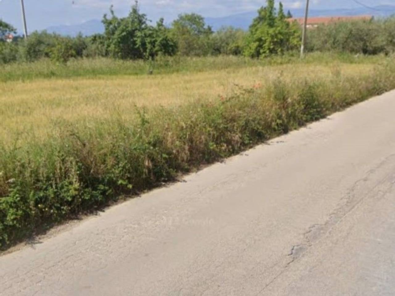 immagine annuncio 10 di 12