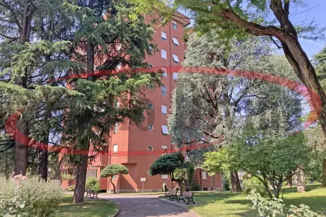 insertion image