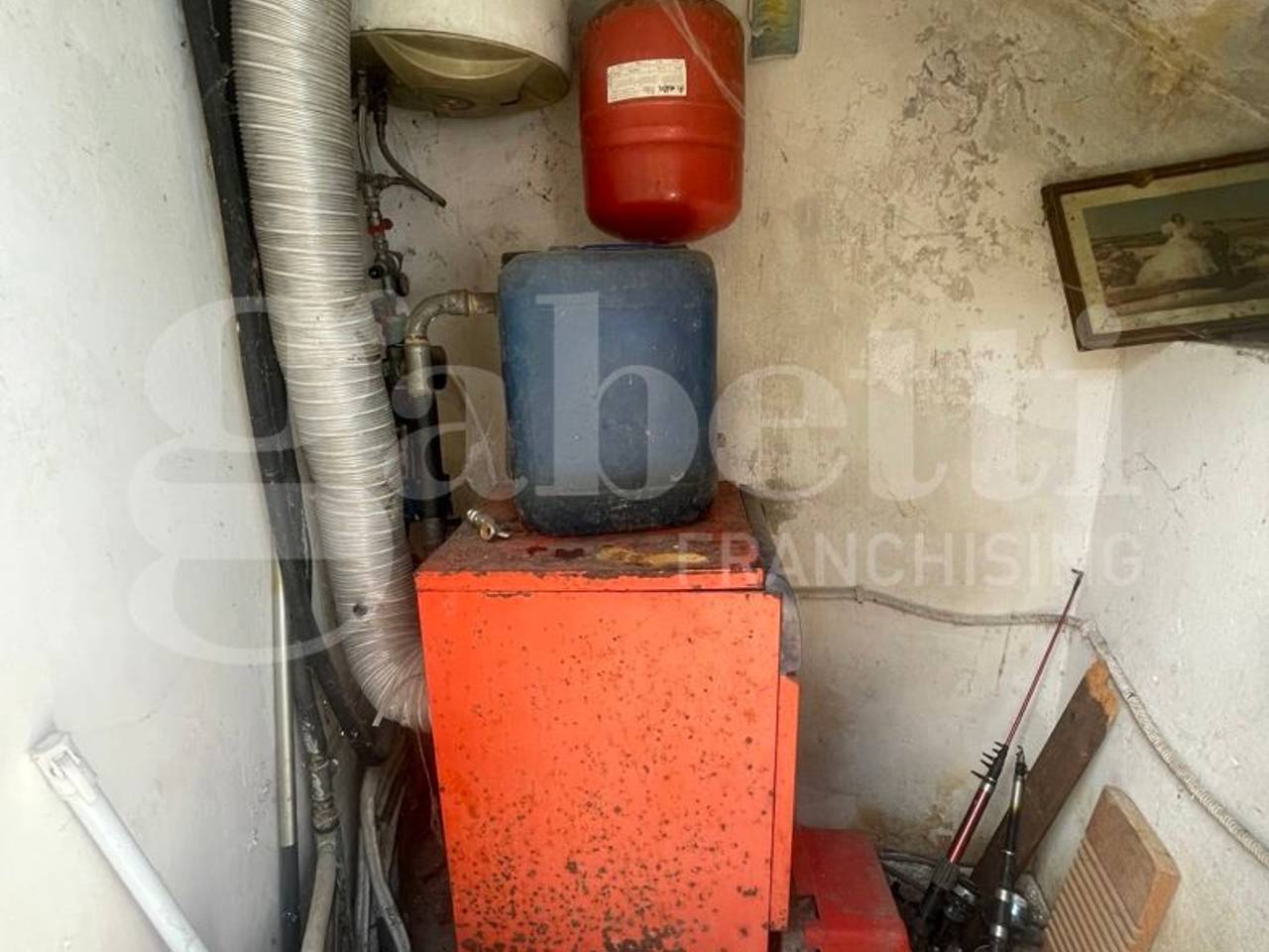 immagine annuncio 12 di 14