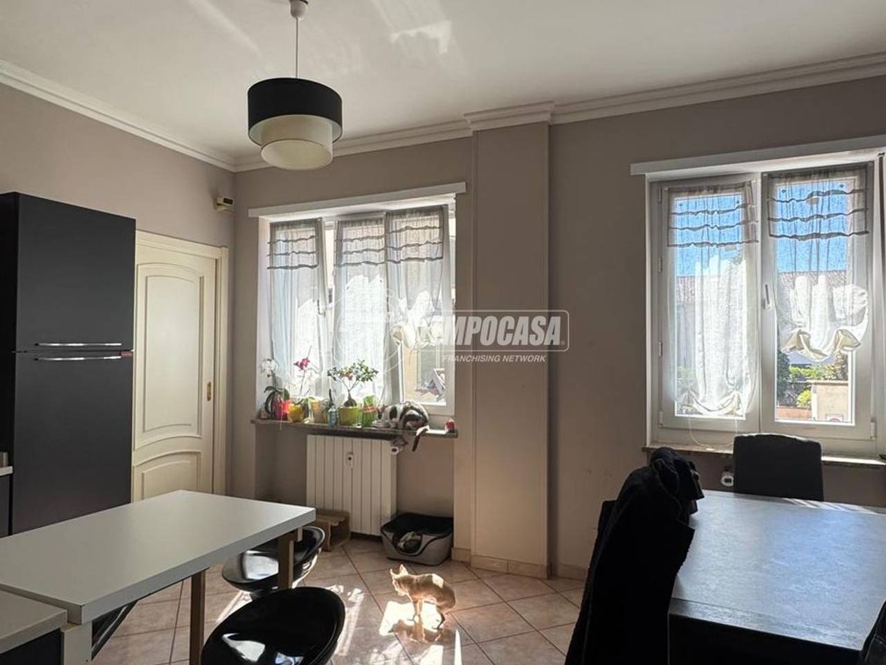 immagine annuncio 5 di 12