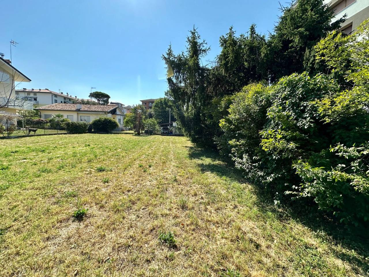 immagine annuncio 7 di 13